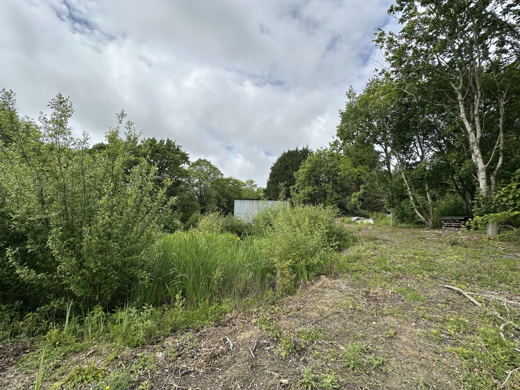 Lot: 60 - TIN BARN WITH POND SET IN APPROXIMATELY ONE ACRE - Tin Barn with Pond